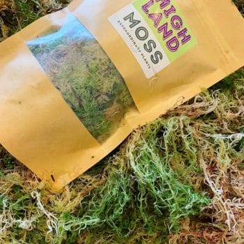 Fresh sphagnum moss in classic green/brown Fresh Moss fresh moss