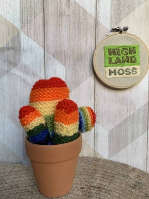 Knitted Rainbow Cactus in Terracotta Pots Gift Ideas gifts 2