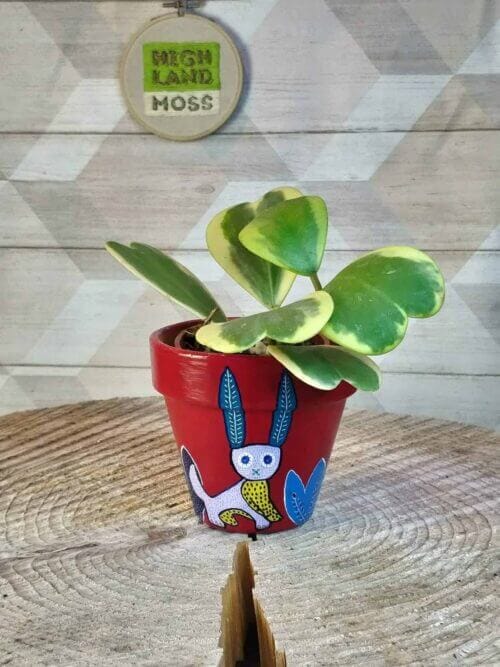 Ant and Bunny Hand Painted Planter for up to 10cm pots