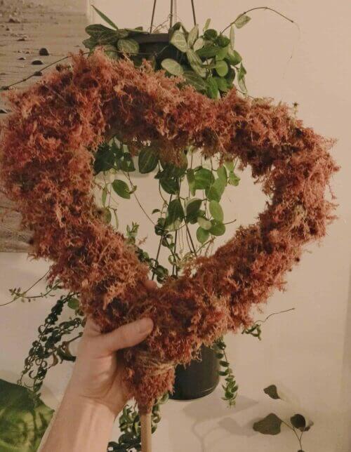 Pink moss heart plant support