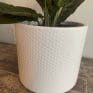 White planter with subtle dot design for up to 12cm pots