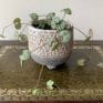 String of hearts in planter 6cm | Ceropegia woodii - Rustic Round Planter