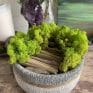 Preserved Moss Bowl 'Doorway to Paradise' | 19cm
