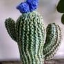 Knitted Cactus - 'Blue Signature'