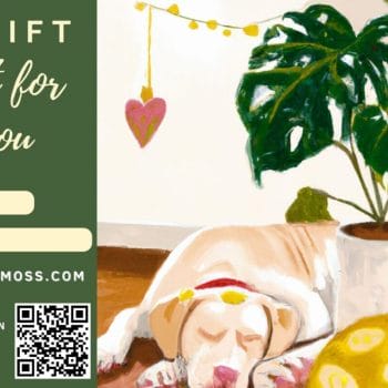 Gift Card Gift Ideas certificate