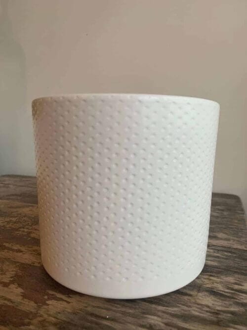 White planter with subtle dot design for up to 14cm pots