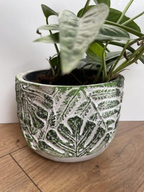 leaf design planter for 12cm pots
