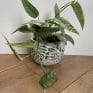 leaf design planter for 12cm pots