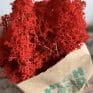 Preserved Reindeer Moss - Red - 25g