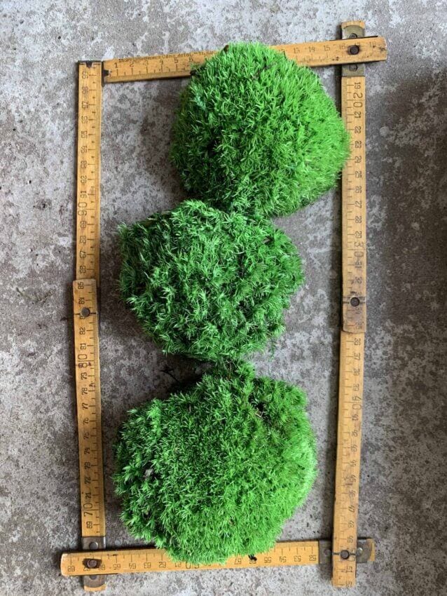 Preserved Ball Moss Green, Pillow Bun Moss, Stabilized Pole Decorative  Natural Cushion Bulk Wall Art - Terrarium Creations