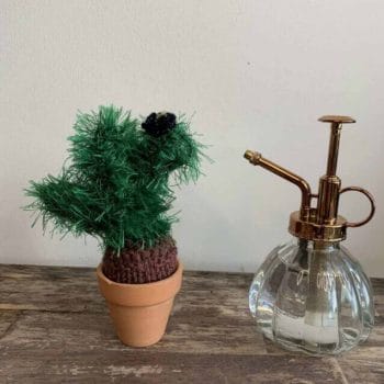 Knitted Cactus – ‘Wee Furry Monster’ Gift Ideas knitted plant