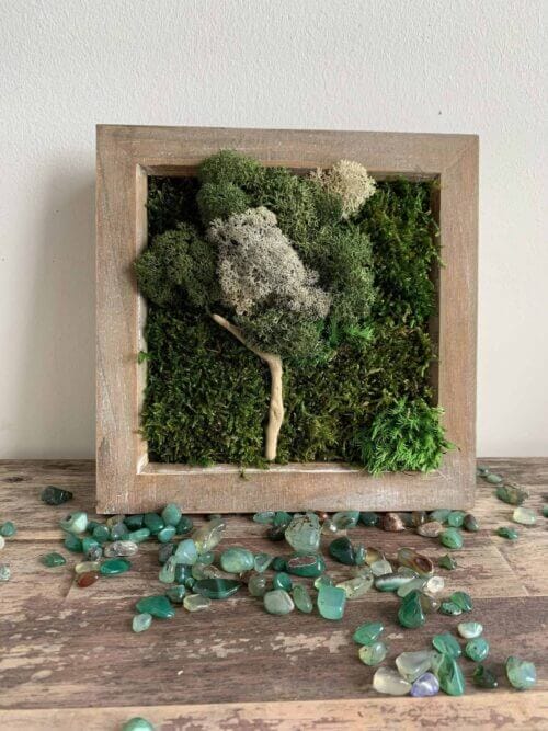 Tree in the Moss - Rustic Wood Frame -  7" x 7"