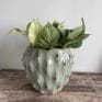 Amarillo Green Planter for up to 12cm pots