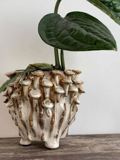 Brown 'toadstool' Planter for up to 8cm pots