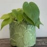 Leafy Planters in Light or Dark Green for pots up to 9cm - Light Green