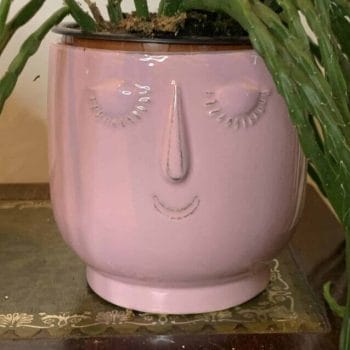 Pink Pot head planter for 8cm to 9cm pots Plant Accessories 9cm planter