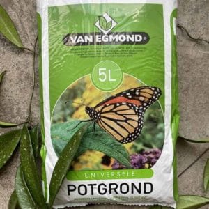 Highland Moss Terrarium Potting Mix: Premium Blend for Healthy Terrariums