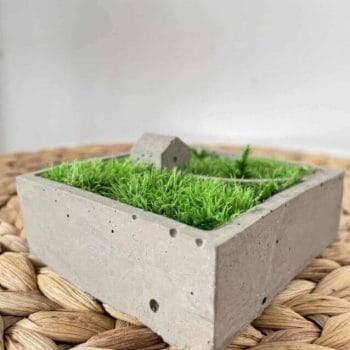 Concrete House in the Moss Artwork gift 2
