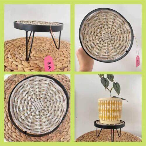 plant stand 2a