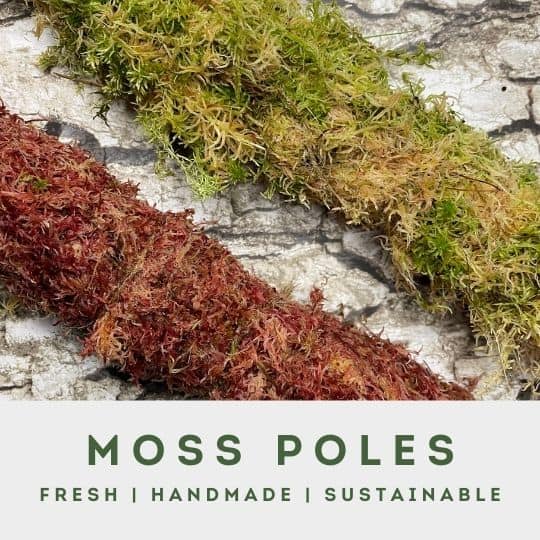 moss poles menu block