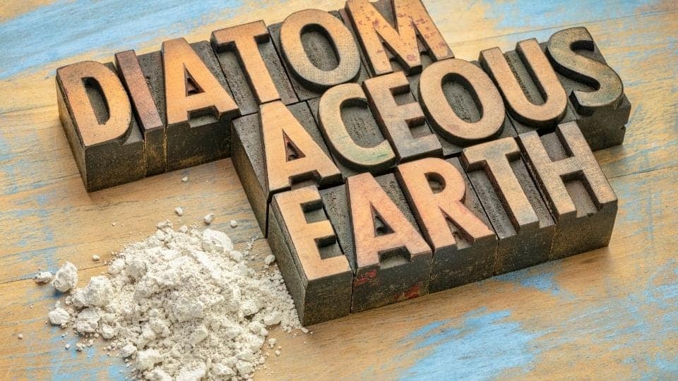 Diatomaceous Earth