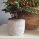 Review of Burolo planter for 9cm pots by Iris D.