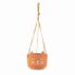 TEN018_A_Cats_Whislers_Terracotta_Hanging_Planter