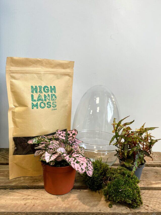 How to make a terrarium - Highland Moss