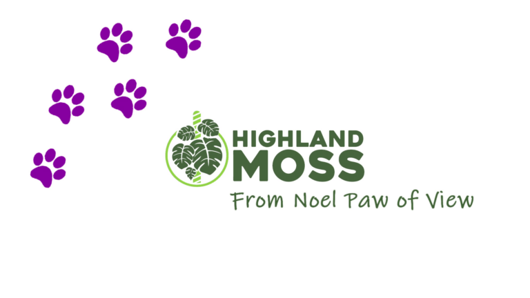 Highland Moss – From Noel’s Paw of View