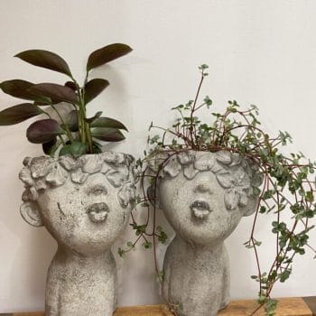 Kiss Me! Handmade Head Concrete Planter For 6cm Pots Plant Accessories 6cm pot