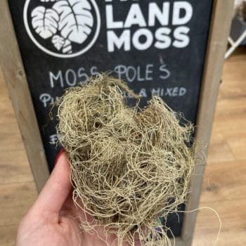 Dried Hair Moss 10g Made with Moss dry moss 2