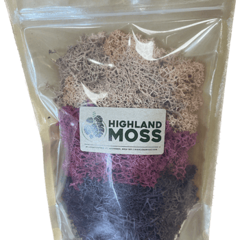 Preserved Reindeer Moss Themed Colour Sets AUTUMN Made with Moss plant decoration