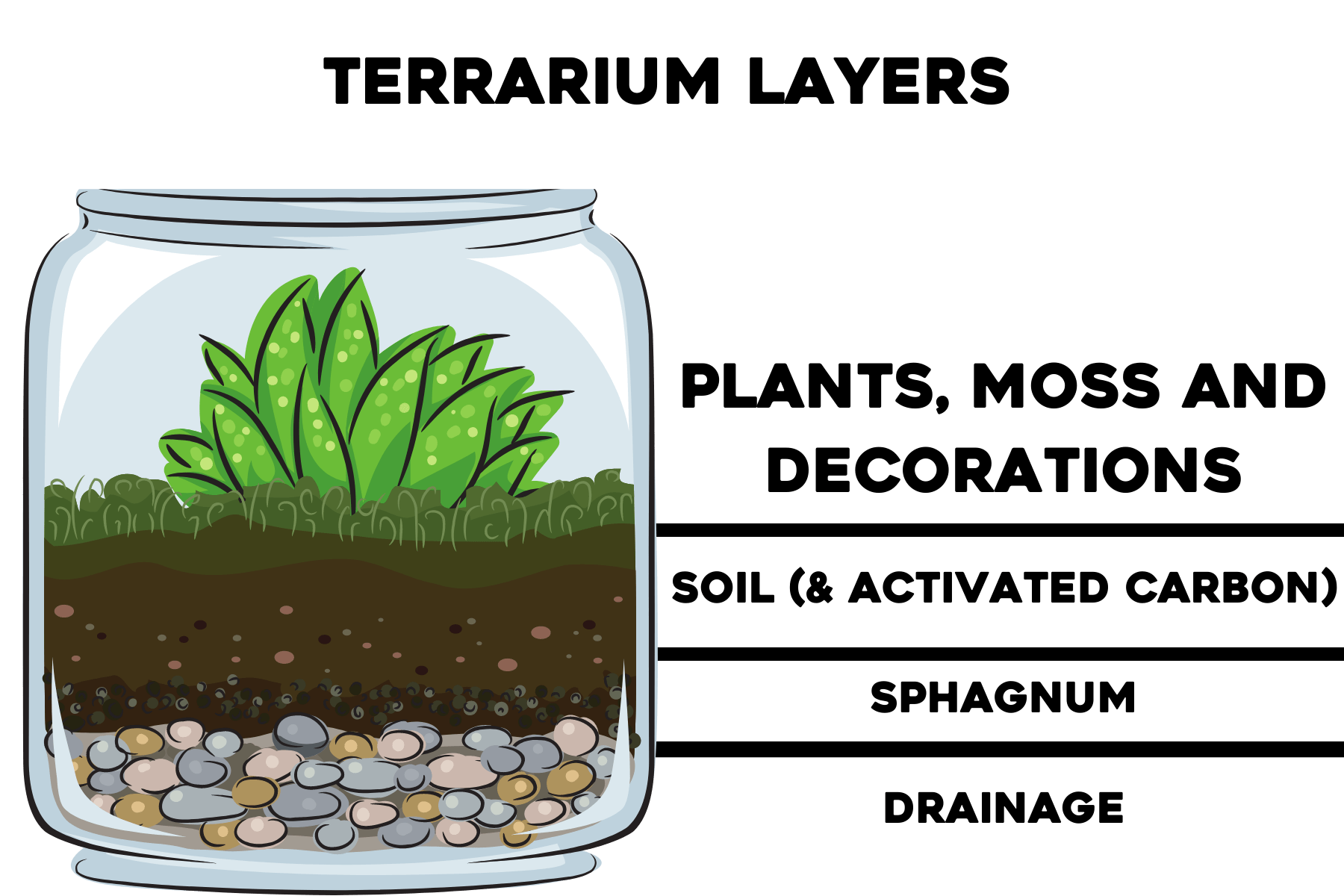 terrarium soil