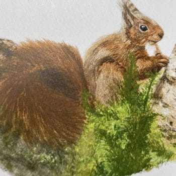 Handpainted Eco Conscious Greeting Cards by Cheryl Smith Art SQUIRRELS 4-Pack Cards card 2