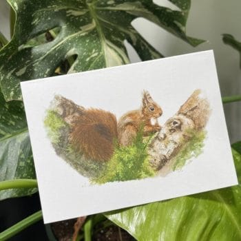 Handpainted Eco Conscious Greeting Cards by Cheryl Smith Art SQUIRRELS 4-Pack Cards card