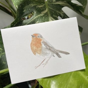 Handpainted Eco Conscious Greeting Cards by Cheryl Smith Art ROBIN 4-Pack Cards card 2
