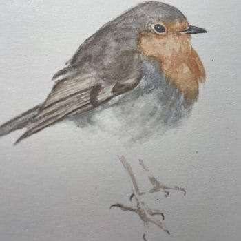 Handpainted Eco Conscious Greeting Cards by Cheryl Smith Art ROBIN Cards card 2