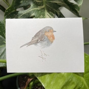 Handpainted Eco Conscious Greeting Cards by Cheryl Smith Art ROBIN Cards card 3