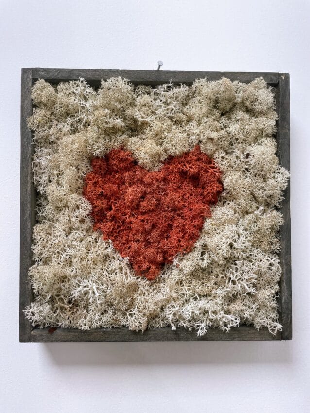handmade preserved moss wall art in wooden square frame. pale coloured moss with a bright red moss shaped heart in centre