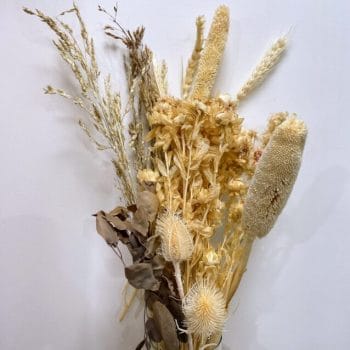 Dried Natural Flowers Rustic Bouquet WARM WHITE Dried Flowers dried