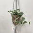handmade chunky macrame plant hanger by oliwia light gray