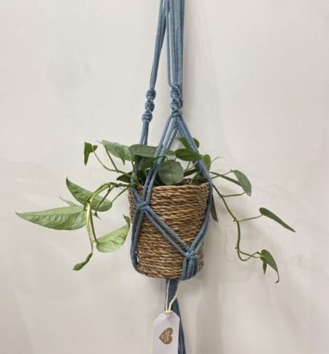 chunky macrame plant hanger by handmade macrame oliwia light blue