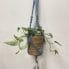 chunky macrame plant hanger by handmade macrame oliwia light blue