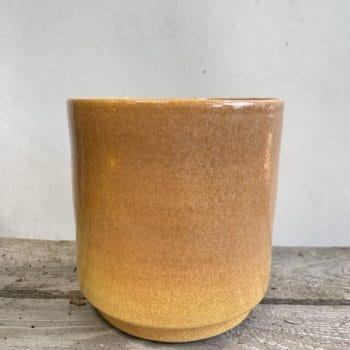 Honey Rustic Concrete Planter For 12cm pot Plant Accessories boho
