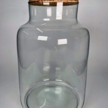 Eco Large Closed Terrarium Glass Container Cork Lid Glass Containers carpet moss 2
