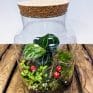eco large closed terrarium glass container cork lid