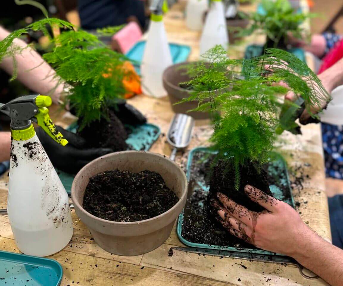 Gardening workshop: participants potting ferns, using tools, in a plant-filled, relaxed environment.