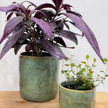 Green Glazed Pot Plant Accessories 12cm planter
