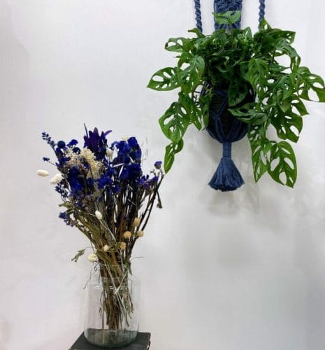 handmade macrame plant hanger by oliwia mustard (copy)