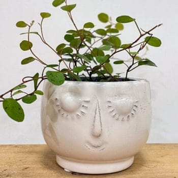 White Smiling Face Head Ceramic Pot 6cm Planters 6cm pot